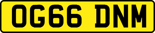 OG66DNM