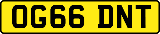 OG66DNT