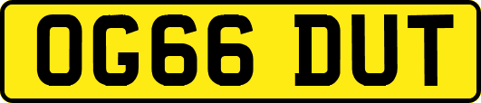 OG66DUT