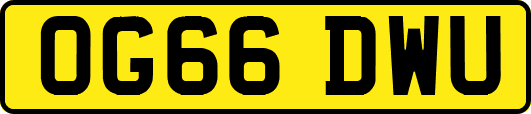 OG66DWU