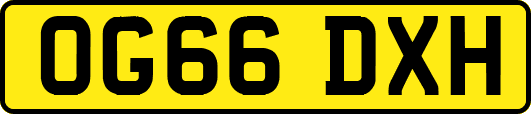 OG66DXH