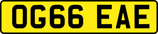 OG66EAE