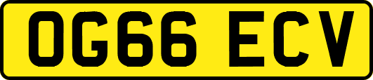 OG66ECV