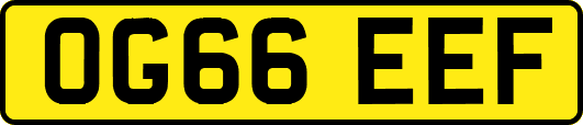 OG66EEF