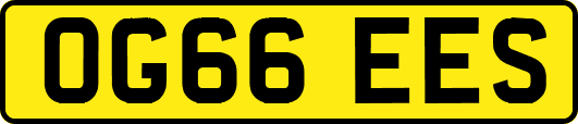 OG66EES