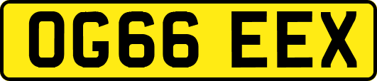 OG66EEX