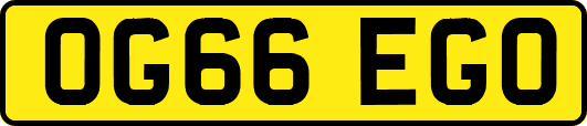 OG66EGO
