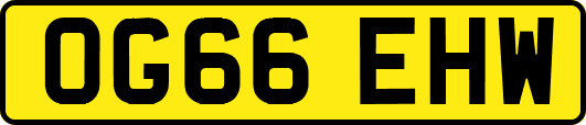 OG66EHW