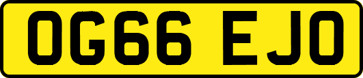 OG66EJO