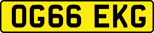 OG66EKG
