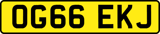OG66EKJ