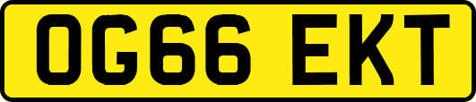 OG66EKT