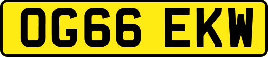 OG66EKW