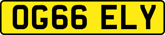 OG66ELY