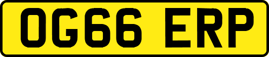 OG66ERP