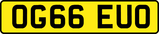 OG66EUO
