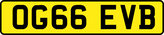 OG66EVB