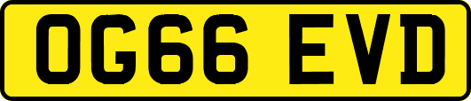 OG66EVD