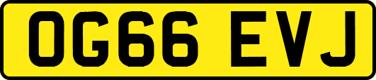 OG66EVJ