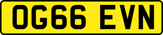 OG66EVN