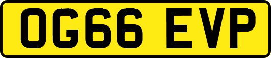 OG66EVP