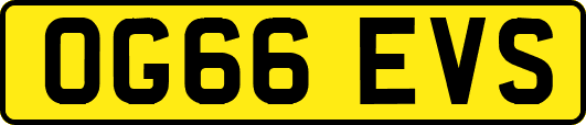 OG66EVS