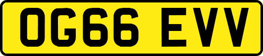OG66EVV