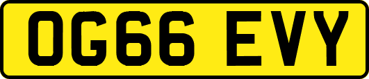 OG66EVY
