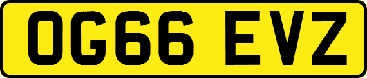 OG66EVZ