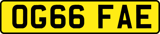 OG66FAE