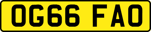 OG66FAO
