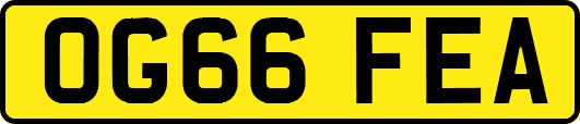 OG66FEA