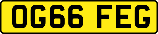 OG66FEG