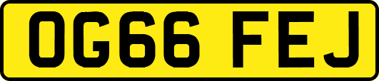 OG66FEJ