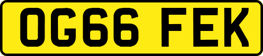 OG66FEK