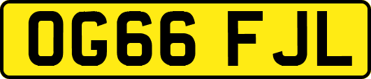 OG66FJL