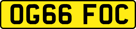 OG66FOC