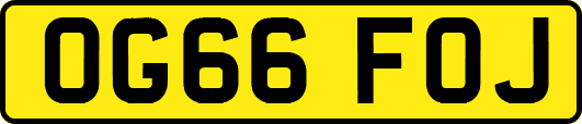OG66FOJ