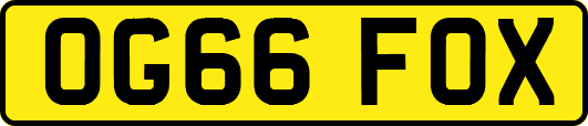 OG66FOX