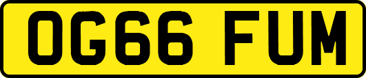 OG66FUM