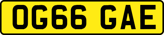 OG66GAE