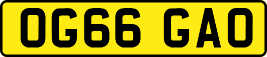 OG66GAO