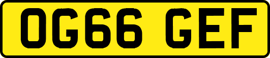 OG66GEF