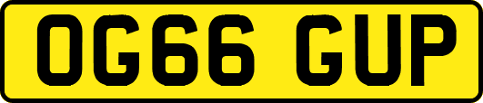 OG66GUP