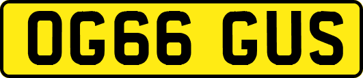 OG66GUS