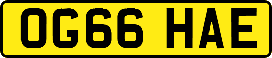 OG66HAE