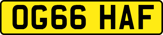 OG66HAF