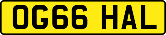 OG66HAL