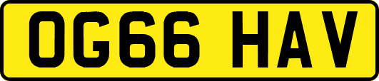 OG66HAV