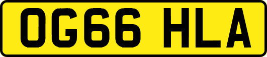 OG66HLA